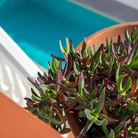 Stunning Seaview By Costarentals - Ref 110