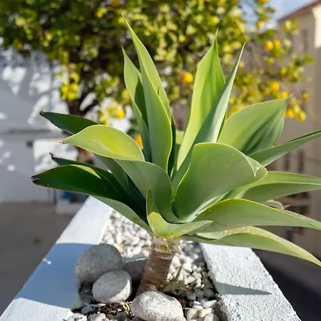 Stunning Seaview By Costarentals - Ref 110 Βίλα