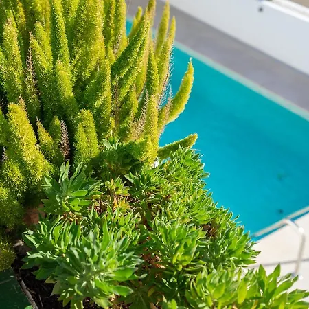 Stunning Seaview By Costarentals - Ref 110 فوينخيرولا