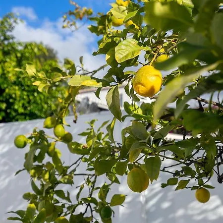 Stunning Seaview By Costarentals - Ref 110