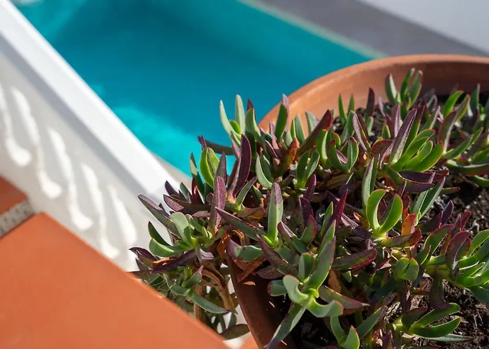 Stunning Seaview By Costarentals - Ref 110