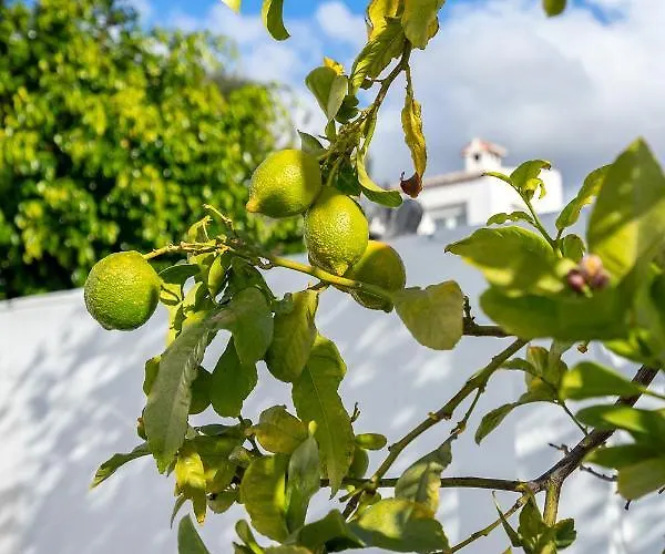 Stunning Seaview By Costarentals - Ref 110 * Fuengirola