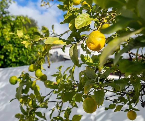 Stunning Seaview By Costarentals - Ref 110