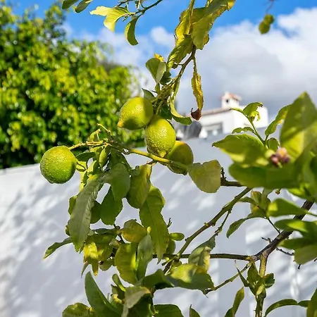 Stunning Seaview By Costarentals - Ref 110 * Фуэнхирола